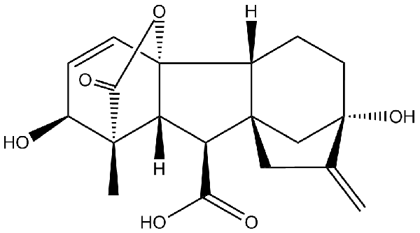 赤霉素GIBBERELLIC ACID，居然有這么神奇？